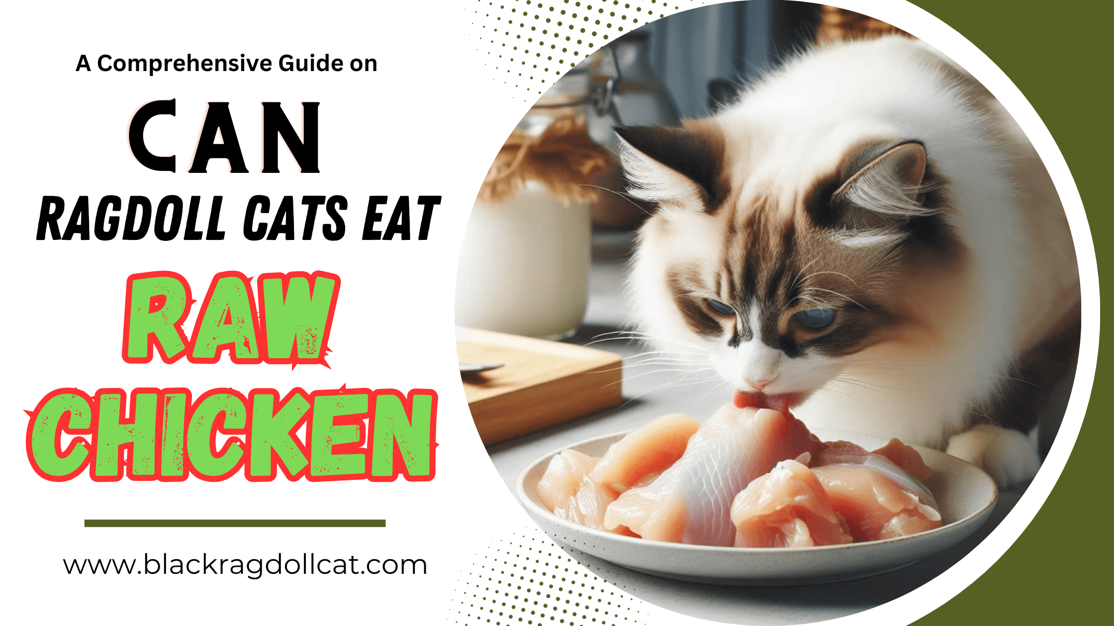 Can ragdoll cats eat raw chicken?