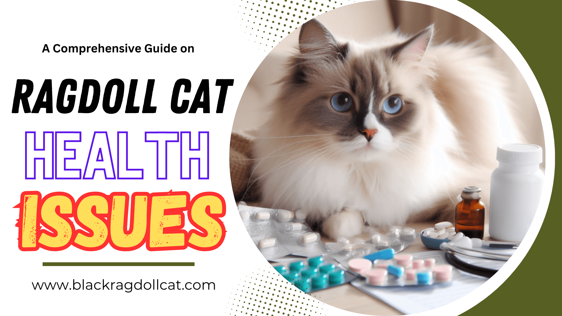 Ragdoll Cat Health Issues