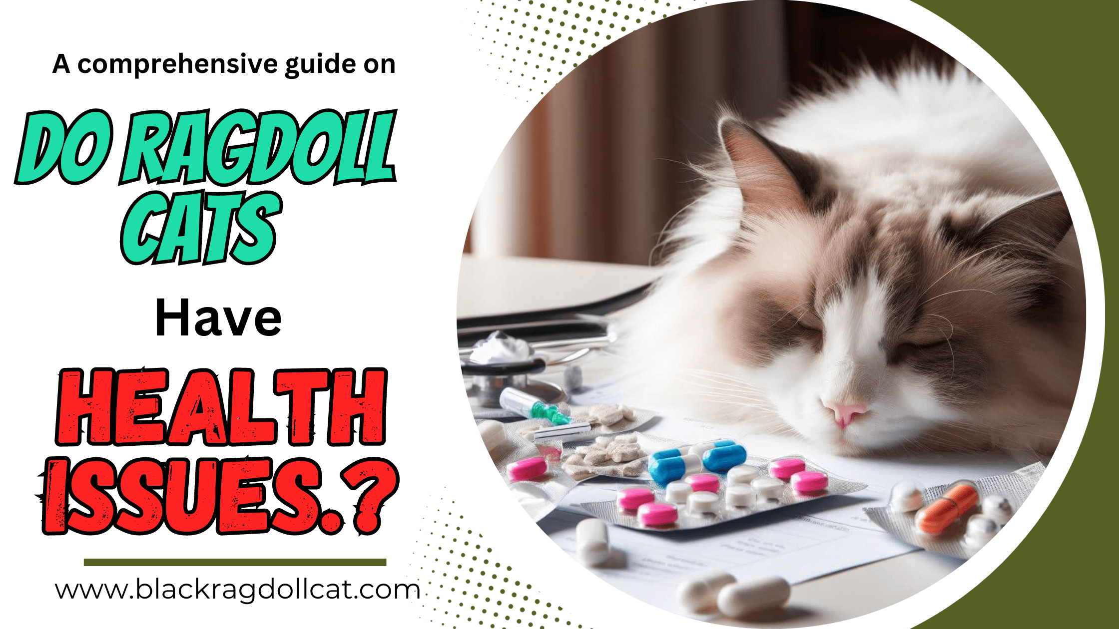 Do ragdoll cats have health issues?